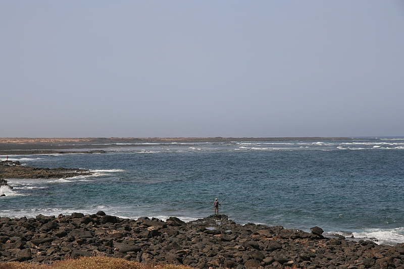 Kanary_2010 115
